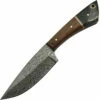 Walnut/Horn Fixed Blade Skinner Knife (4" Damascus) -CUTTING EDGE CUTLERY CO Sales 1d4d3f5f08c83638b5a1602773aceb97