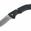 Buck Nano Bantam Knife Black (1.8" Satin) 0283BKS-B