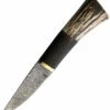 Benjahmin Knives Fixed Blade Stag/Wood (3.5″ Damascus) BKA022 -CUTTING EDGE CUTLERY CO Sales 41f1a39d668cdc935e07000c62bbd44d