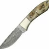 Damascus Hunter Fixed Blade Knife 3.5" DM1050RM -CUTTING EDGE CUTLERY CO Sales 6d1042eb154be73416e161fb0d57e034