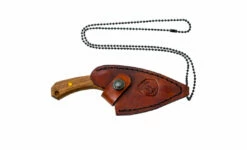 Condor Pangui Fixed Blade Neck Knife Walnut (3.3" Scandi) CTK802-3.26HC -CUTTING EDGE CUTLERY CO Sales CTK802 3.26HC 2