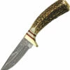 Damascus Whitetail Skinner Fixed Blade Knife Knife -CUTTING EDGE CUTLERY CO Sales db955e56a7c4af8da209a382a84398c0